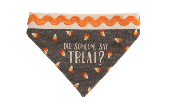 Did Someone Say Treat Reversible Bandana