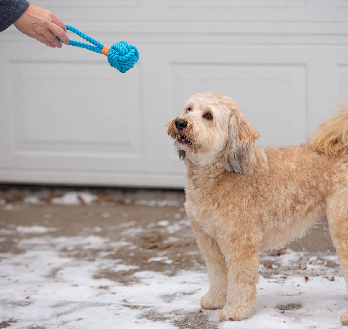 ThoozyPet Ball Tug Rope Dog Toy with Handle Yellow 3"