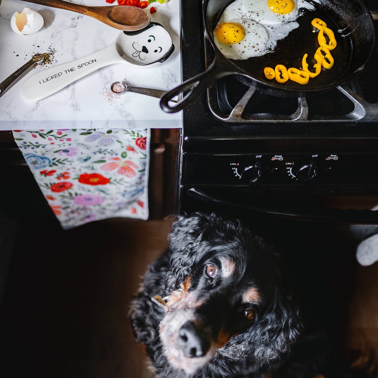 Dog Licked the Spoon - 10" Spoon Rest