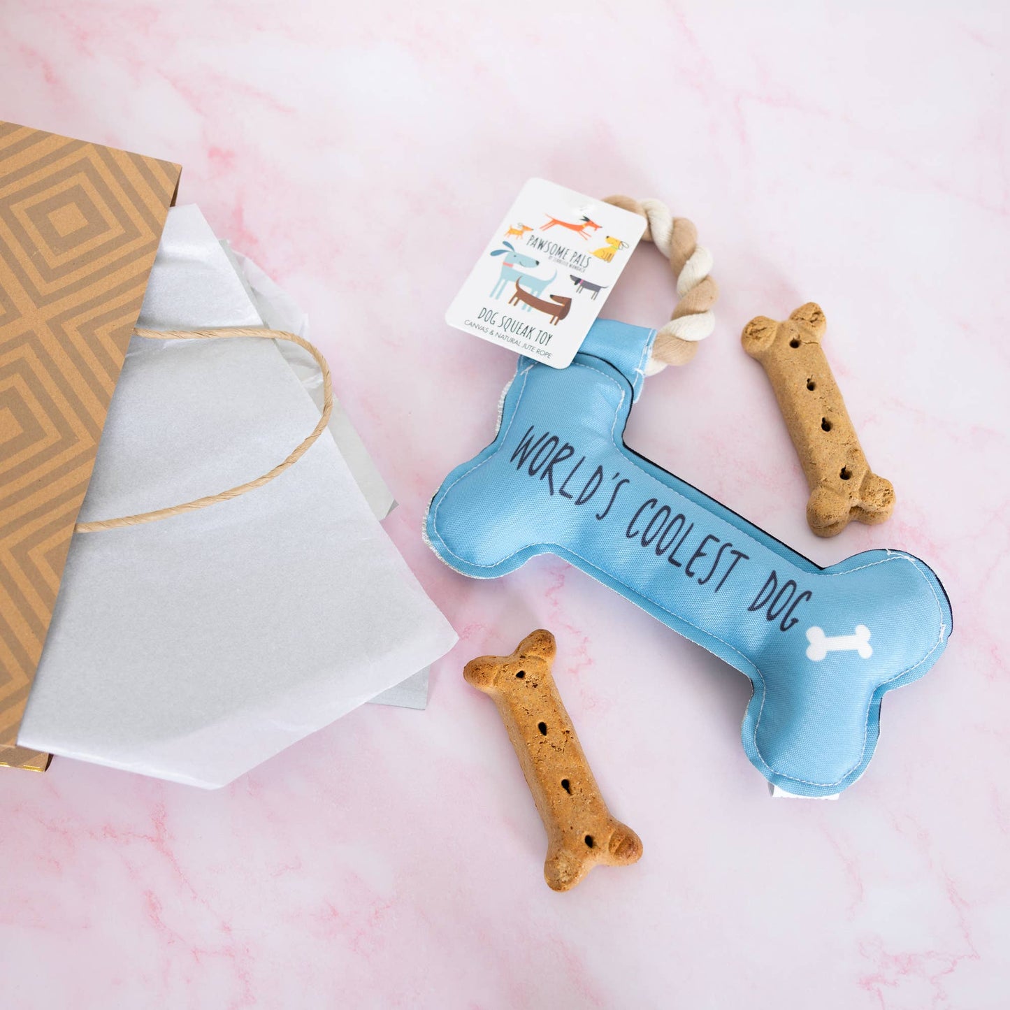 Coolest Dog - Canvas Dog Toy on a Rope