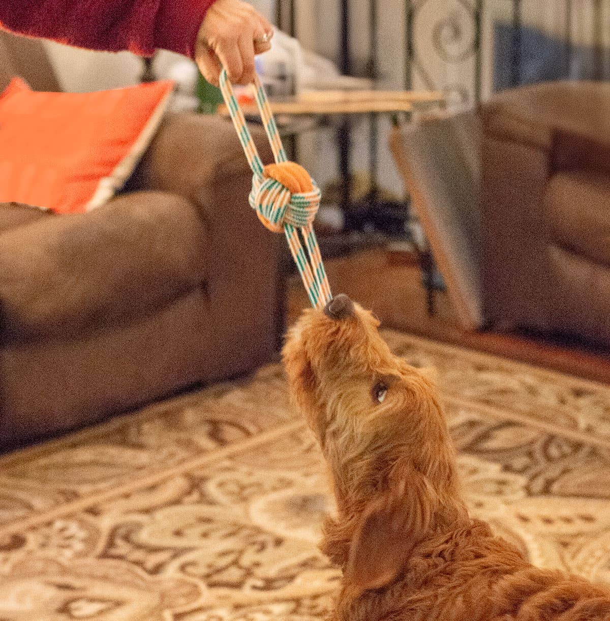 ThoozyPet Figure 8 Knot Ball Rope Dog Toy Orange / Teal 11.5